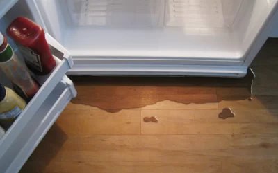 Sub Zero Freezer Repair Dallas: How to Identify & Fix Leaks
