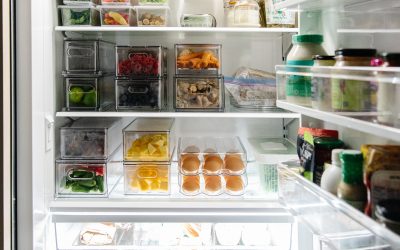 Mom’s Energy-Saving Secrets: Sub Zero Appliance Repairs Made Green