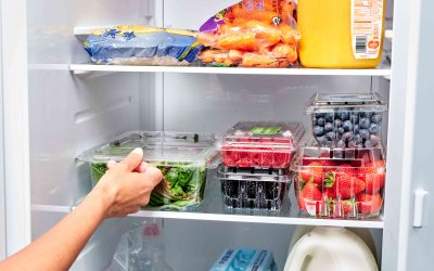 Nowruz Celebrations with Sub-Zero Fridges: Top 10 Tips