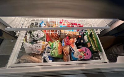 Prolonging the Efficiency of Your Sub Zero Freezer Beyond Nowruz